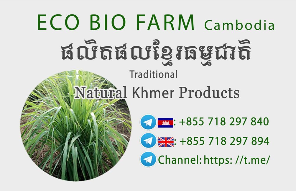 logo ECO BIO FARM